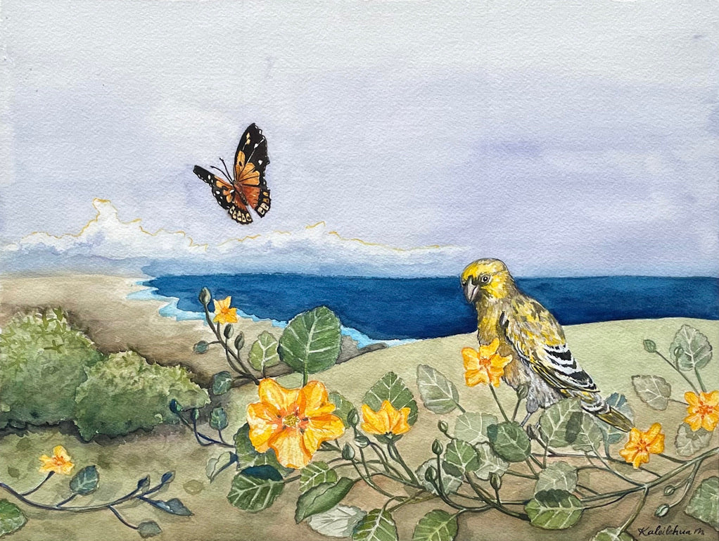 Watercolor of Nihoa finch and kamehameha butterfly on a green grassy hill with ilima yellow flowers and green foliage with dark blue ocean in the distance. 