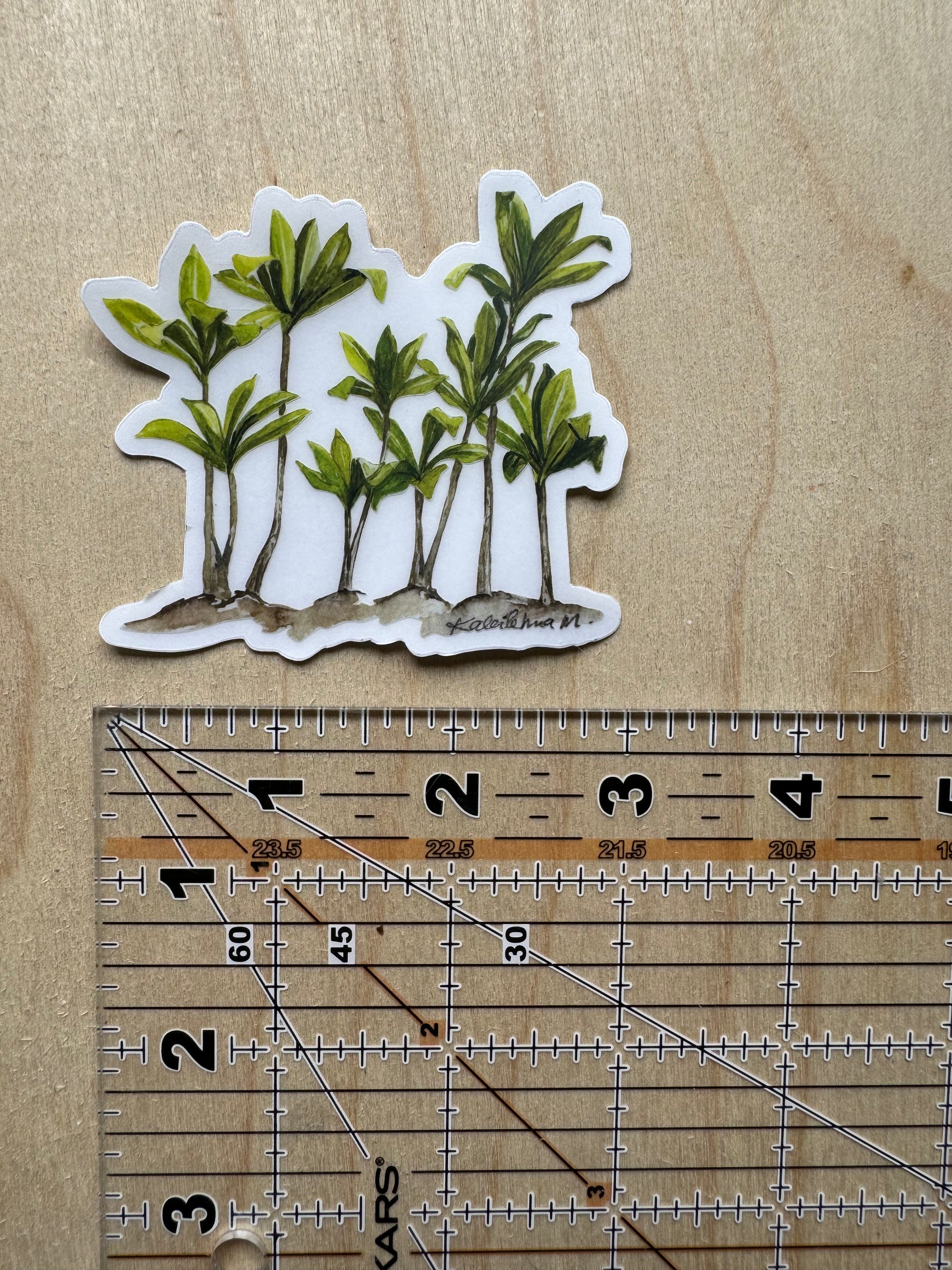 8 Ti leaf plants growing in a cluster sticker