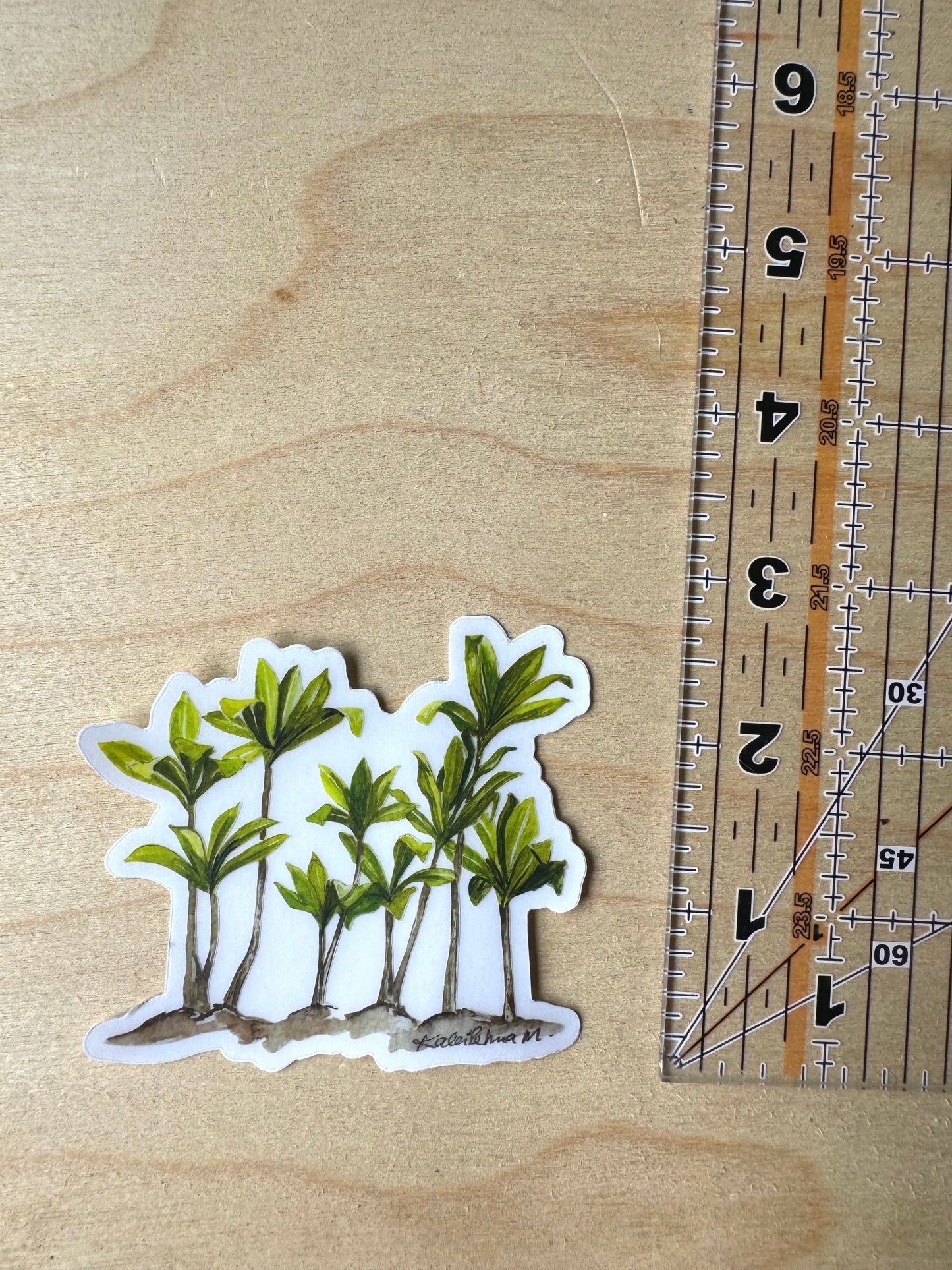 8 Ti leaf plants growing in a cluster sticker